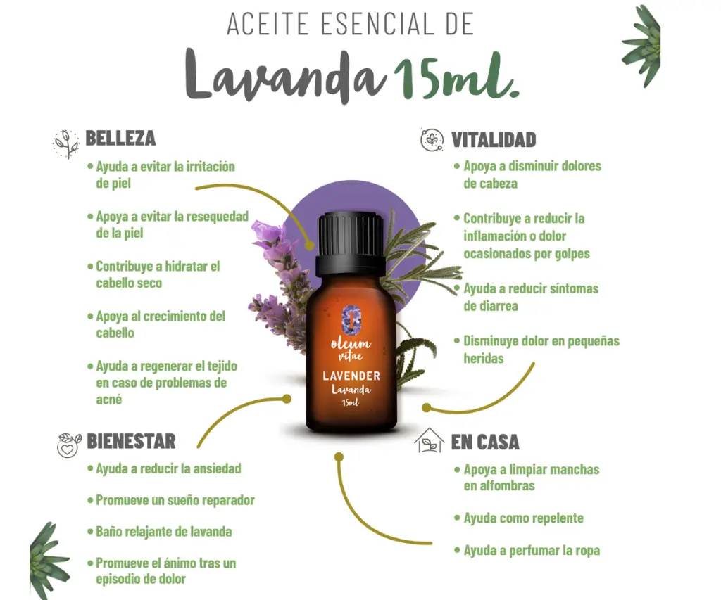 Diseño sin título - 2024-10-12T205642.869.webp