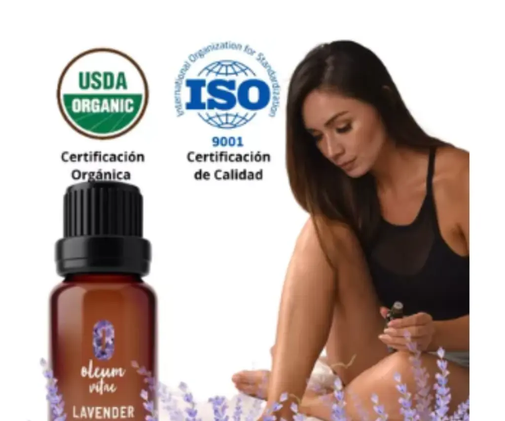 Diseño sin título - 2024-10-12T205905.492.webp